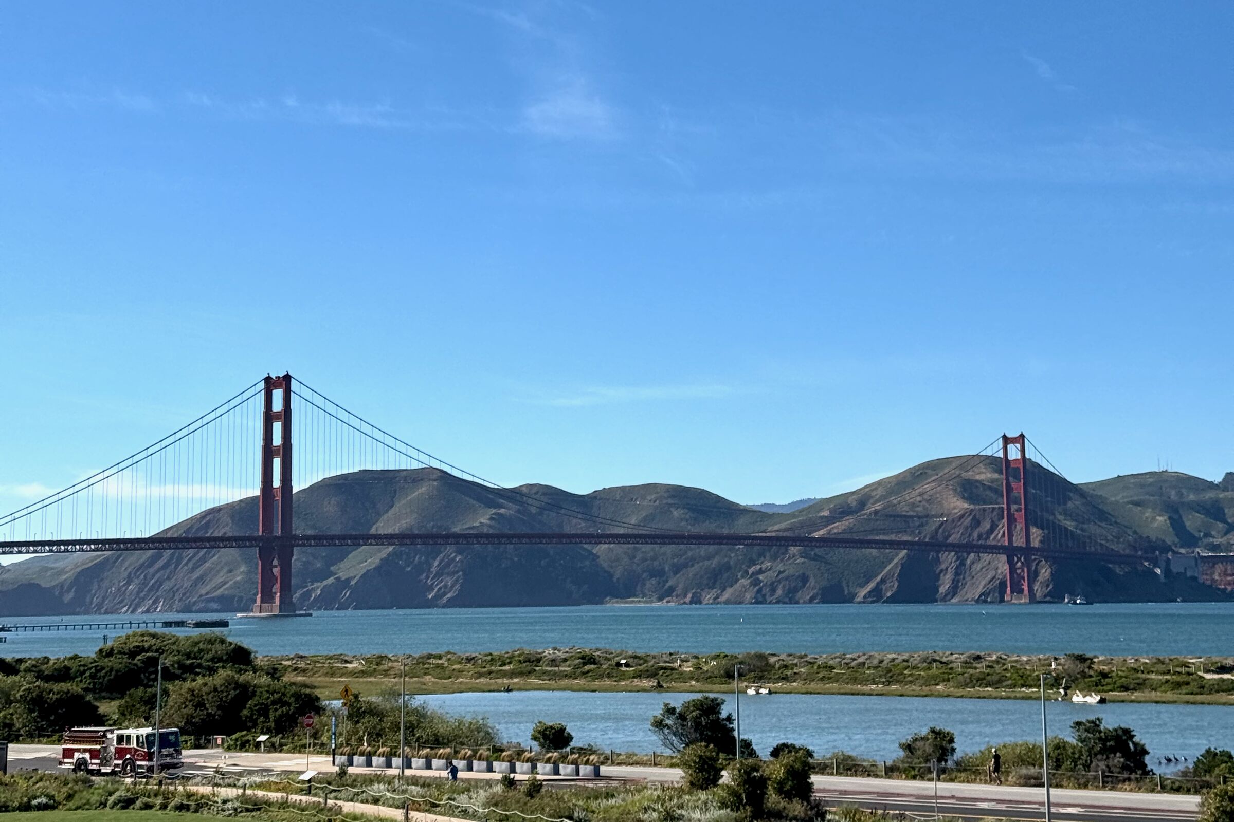 The Golden Gate Bridge seen from across the bay with marshland in the foreground