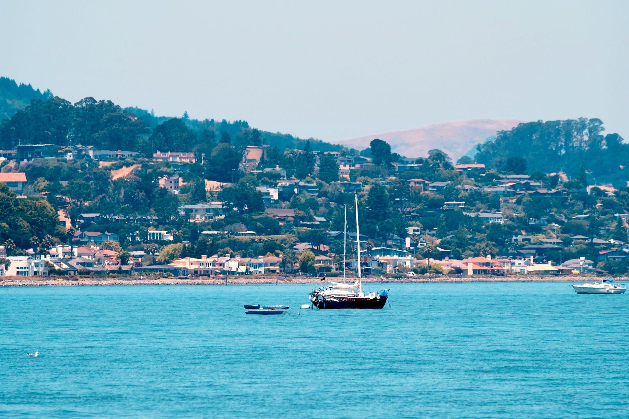 Sailboat anchored in the bay with Sausalito hillside houses in the background